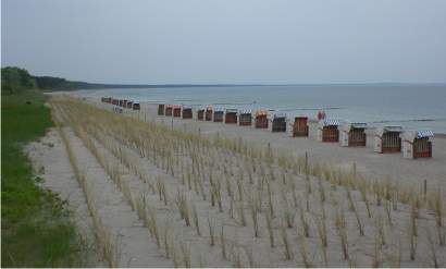 Strand Glowe